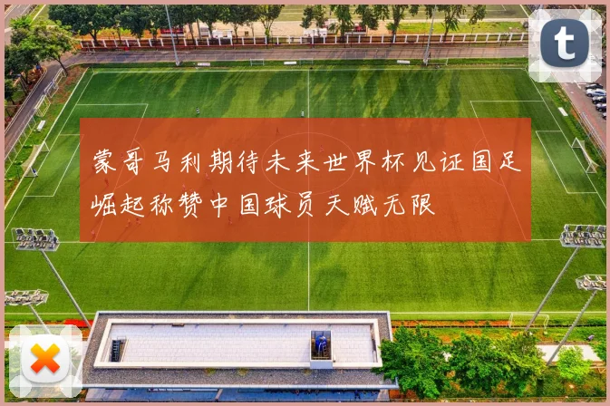 蒙哥马利期待未来世界杯见证国足崛起称赞中国球员天赋无限